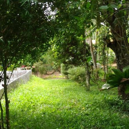 Philip Mary Farm Stay Thekkady Eksteriør bilde