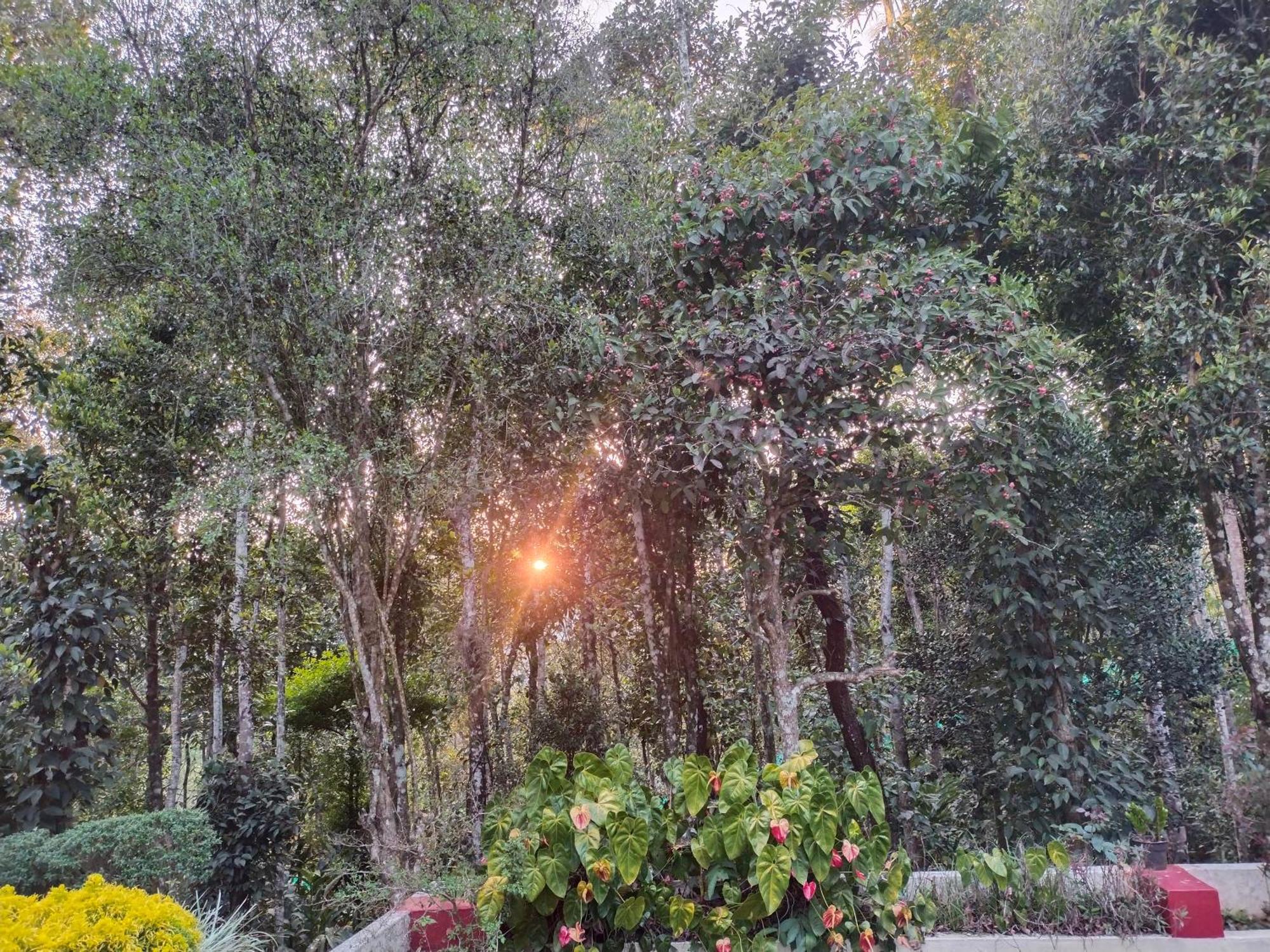 Philip Mary Farm Stay Thekkady Eksteriør bilde