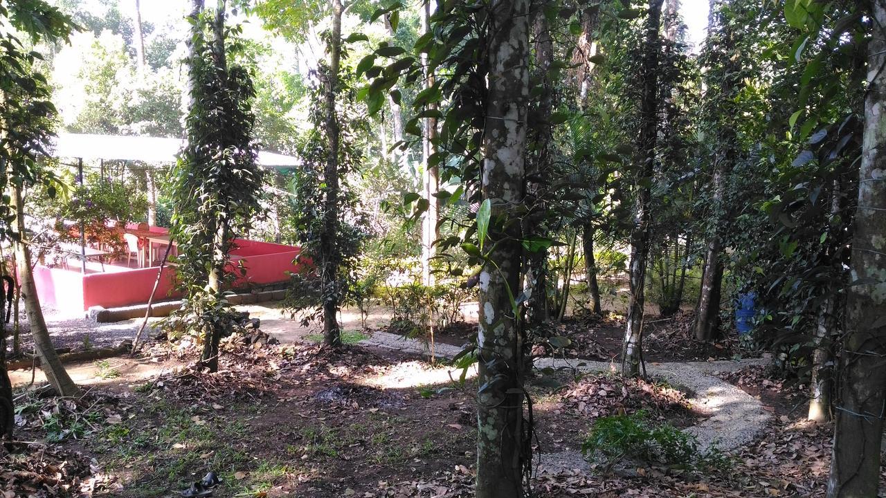 Philip Mary Farm Stay Thekkady Eksteriør bilde