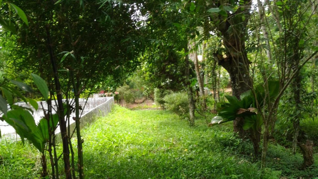 Philip Mary Farm Stay Thekkady Eksteriør bilde