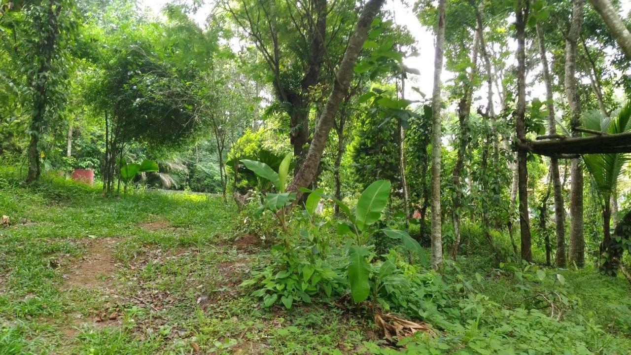 Philip Mary Farm Stay Thekkady Eksteriør bilde